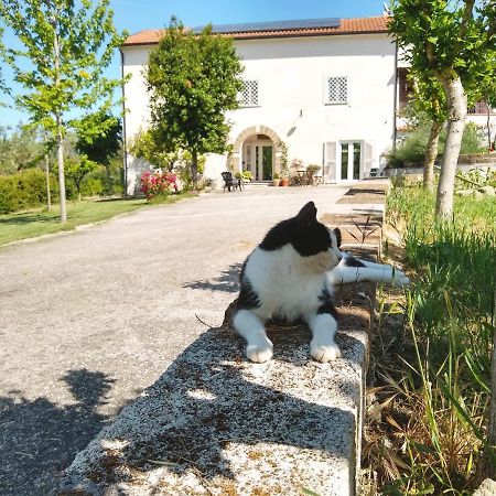 Le Piracante Caiazzo Extérieur photo