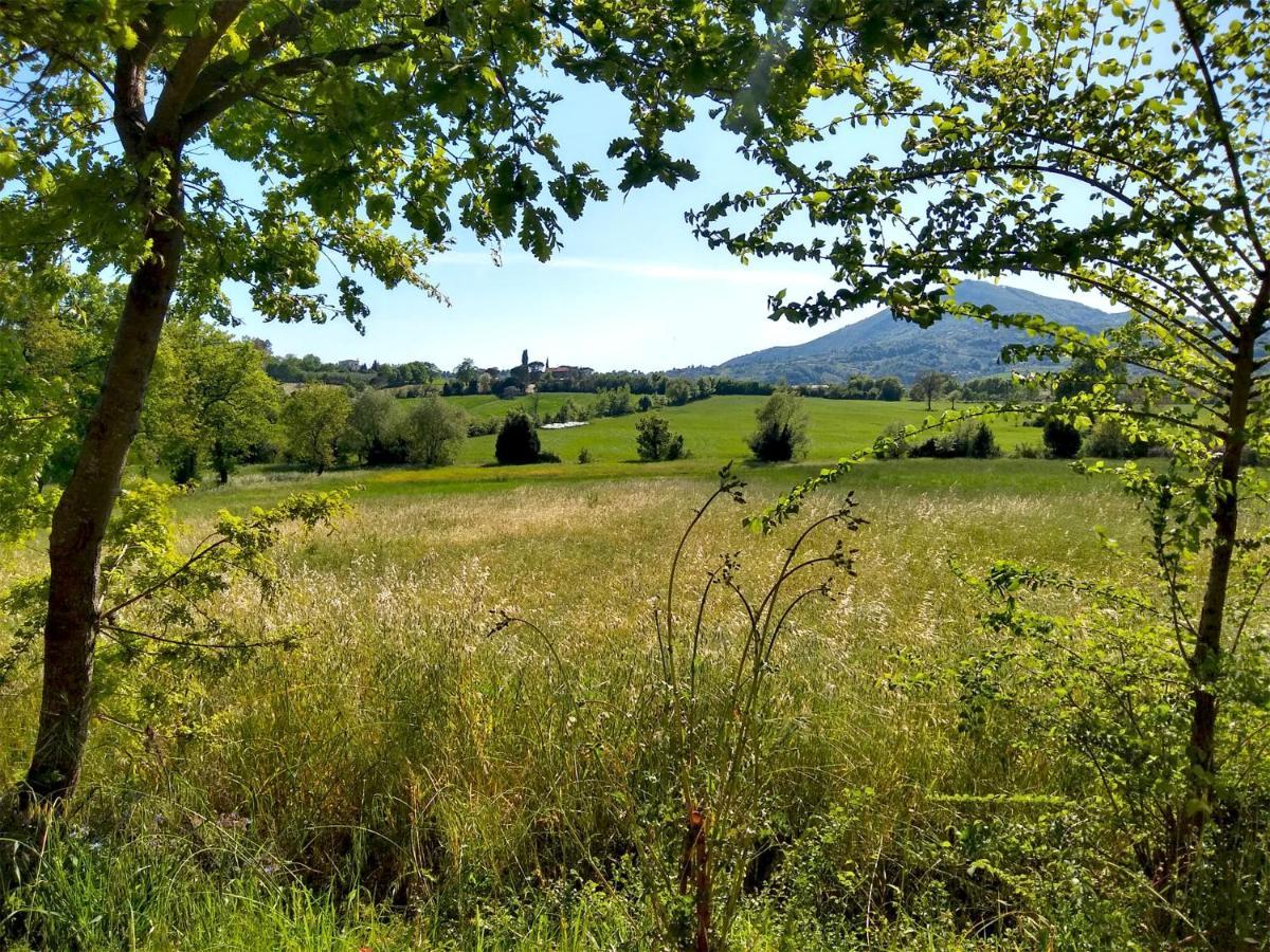 Le Piracante Caiazzo Extérieur photo