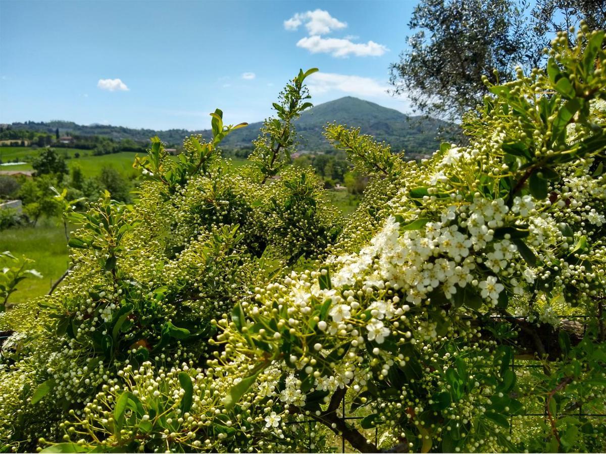 Le Piracante Caiazzo Extérieur photo