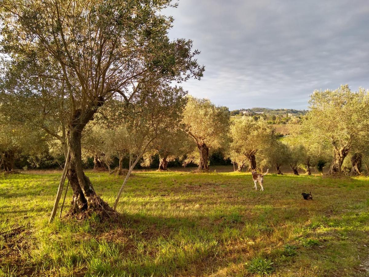 Le Piracante Caiazzo Extérieur photo