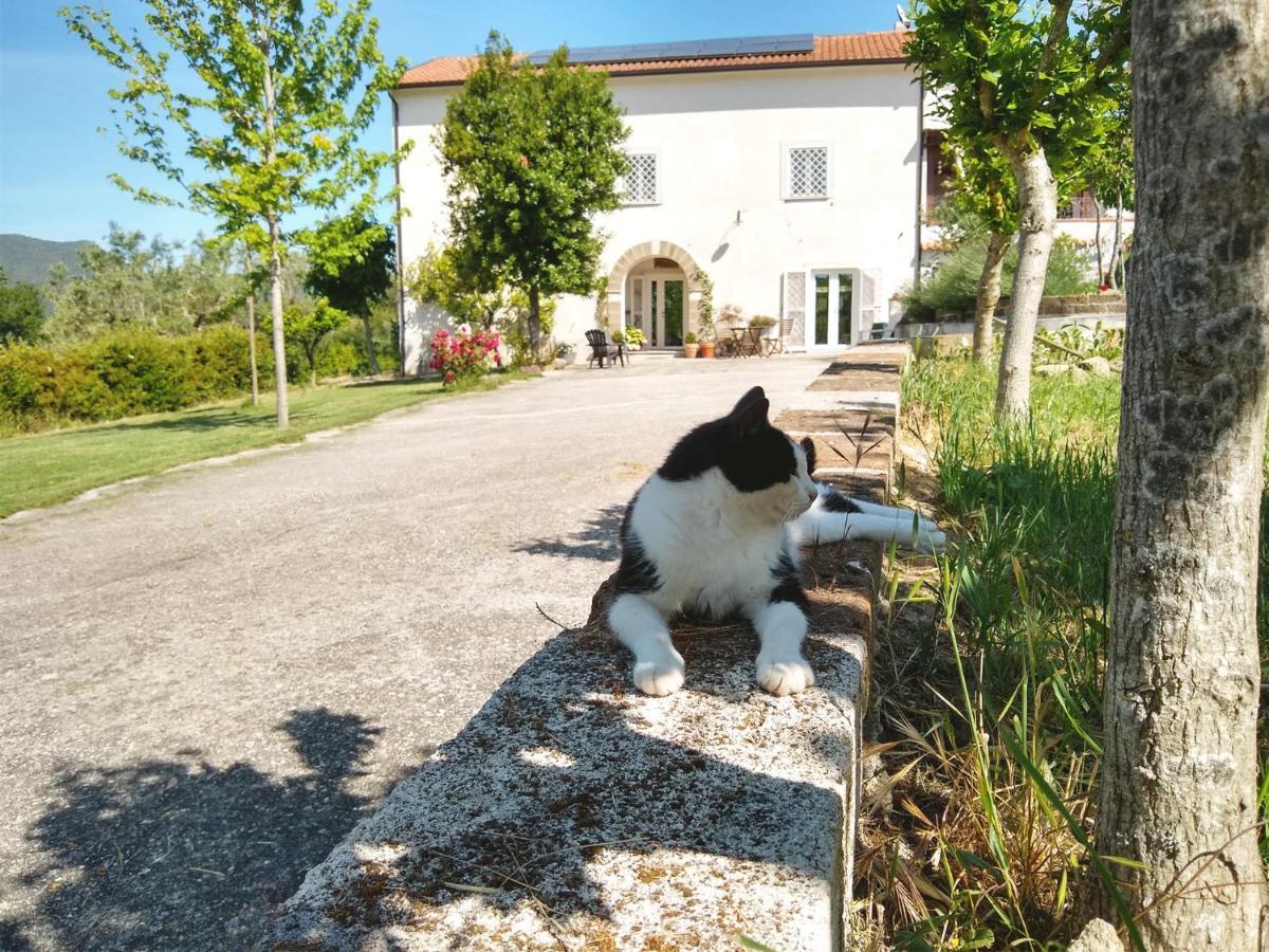Le Piracante Caiazzo Extérieur photo